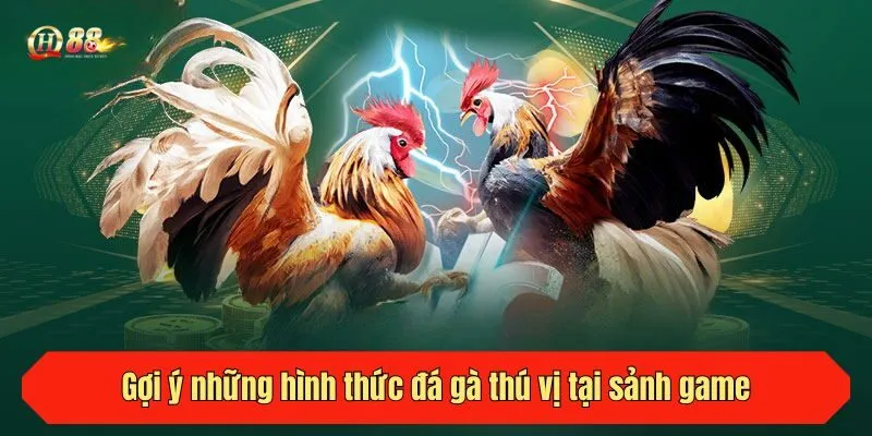 Gợi ý những hình thức đá gà thú vị tại sảnh game