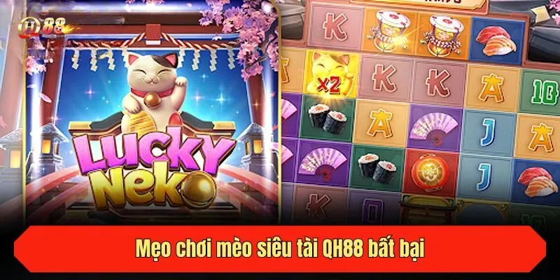 Mẹo chơi mèo siêu tài QH88 bất bại