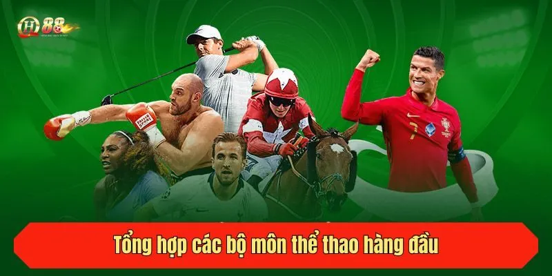 Tổng hợp các bộ môn thể thao hàng đầu