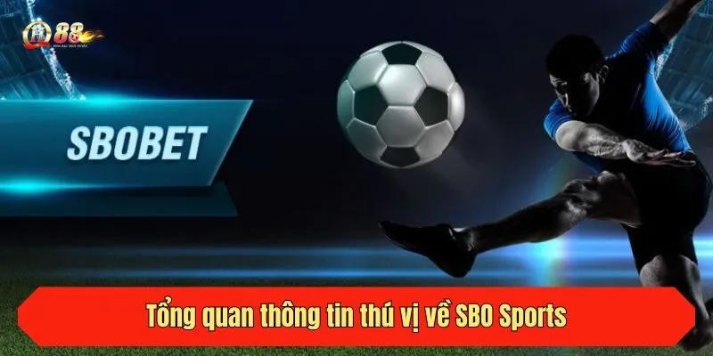 Tổng quan thông tin thú vị về SBO Sports